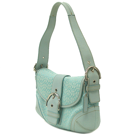 Coach(��ġ) 06818 �ñ׳��� ����Ʈ ���� �ڰ��� ����� �̹���3 - ���̺��� �߰���ǰ