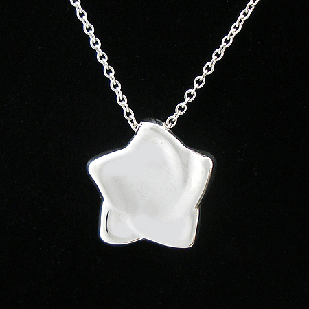 Tiffany(Ƽ�Ĵ�) 925 (�ǹ�) �䷹Ƽ ����� �̹���3 - ���̺��� �߰���ǰ