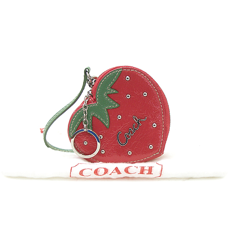 Coach(��ġ) ��Ʈ�κ��� ������ �������� �� ���� �̹���2 - ���̺��� �߰���ǰ