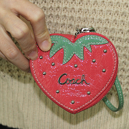Coach(��ġ) ��Ʈ�κ��� ������ �������� �� ���� �̹���6 - ���̺��� �߰���ǰ
