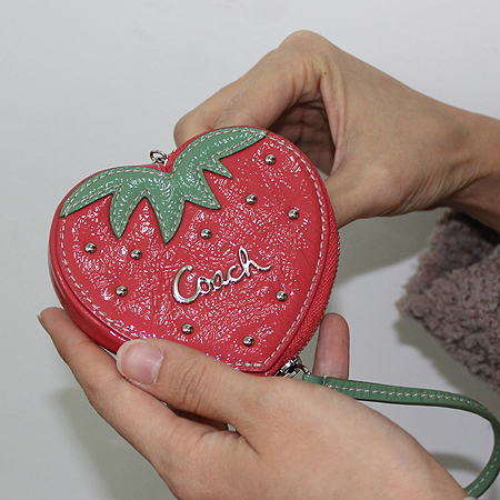 Coach(��ġ) ��Ʈ�κ��� ������ �������� �� ���� �̹���7 - ���̺��� �߰���ǰ