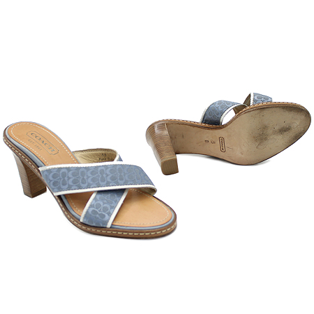 Coach(��ġ) ���� �÷� �ΰ� �ñ״��� ������ ���� �̹���2 - ���̺��� �߰���ǰ