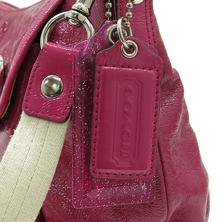Coach(��ġ) 13852 ��ũ ���� �׷�� 2-WAY �̹���3 - ���̺��� �߰���ǰ
