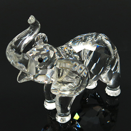 ���ͷκ꽺Ű  ��Ÿ