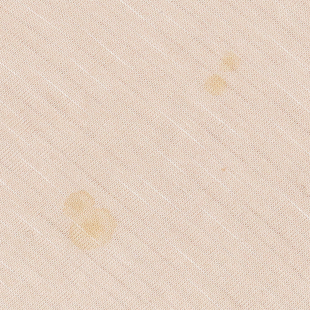 Calvin Klein(Ķ��Ŭ����) ����� ���� Ƽ �̹���3 - ���̺��� �߰���ǰ