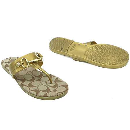 Coach(��ġ) �ñ׳��� �ΰ� �ڰ��� ���� ��Ŭ ���� �̹���2 - ���̺��� �߰���ǰ