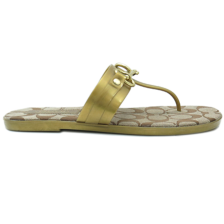 Coach(��ġ) �ñ׳��� �ΰ� �ڰ��� ���� ��Ŭ ���� �̹���3 - ���̺��� �߰���ǰ