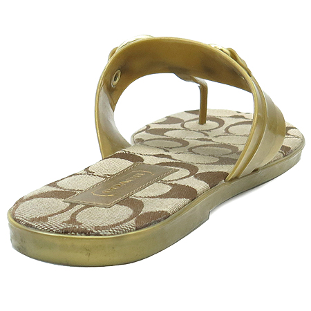 Coach(��ġ) �ñ׳��� �ΰ� �ڰ��� ���� ��Ŭ ���� �̹���4 - ���̺��� �߰���ǰ