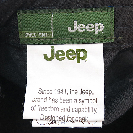 Jeep(��) �ΰ� ��Ƽġ �׷��� ���� �̹���4 - ���̺��� �߰���ǰ