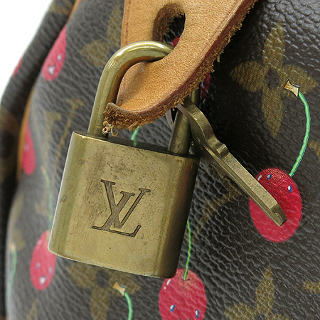 Louis Vuitton(���̺���) M95009 ���׷� ĵ���� ü�� ���ǵ� 25 ��Ʈ�� �̹���4 - ���̺��� �߰���ǰ