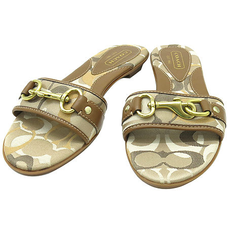 ��ġ  ����