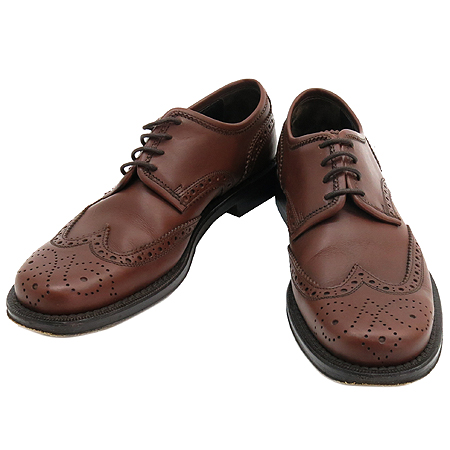 �̿�̿�  ����