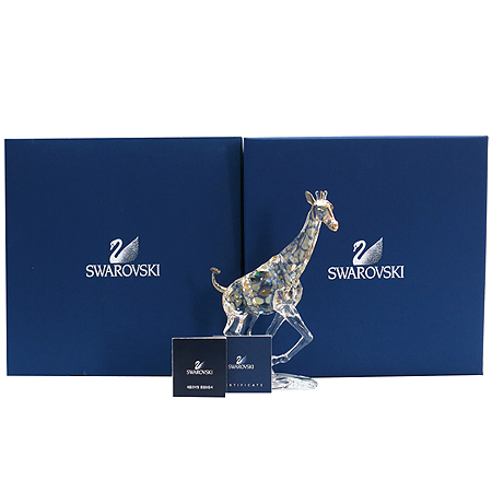 ���ͷκ꽺Ű  ��Ÿ