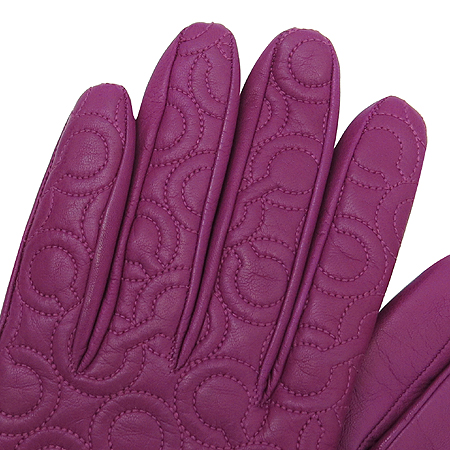 Coach(��ġ) ��ũ ���� �ɾ�Ʈ ������ �尩 �̹���4 - ���̺��� �߰���ǰ