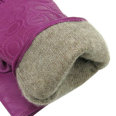 Coach(��ġ) ��ũ ���� �ɾ�Ʈ ������ �尩 �̹���5 - ���̺��� �߰���ǰ