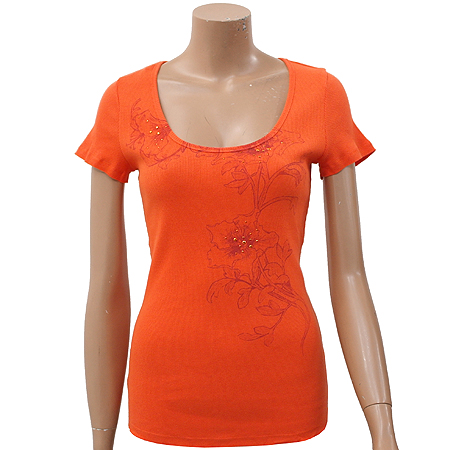 ���������漭  Ƽ