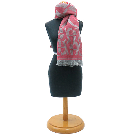 ���̱׳�  ��ī��