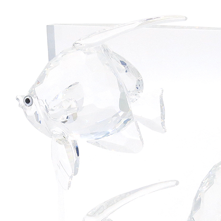 Swarovski(���ͷκ꽺Ű) Wonders Of The Sea ũ����Ż ������ ���ǰ �̹���3 - ���̺��� �߰���ǰ