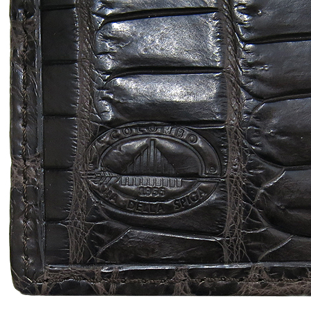 COLOMBO(�ݷҺ�) 2ZA3K3 TM  �Ǿ��(�ʹ�) �Ƹ޸�ī�� ������ ������ [��������] �̹���4 - ���̺��� �߰���ǰ