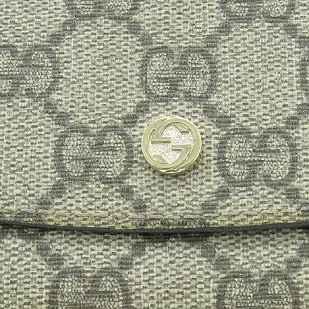 Gucci(����) 256926 GG�ΰ� PVC ������ [��������] �̹���3 - ���̺��� �߰���ǰ