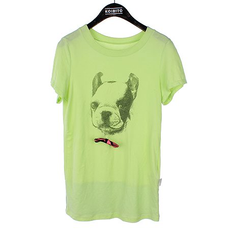 �񿣿���  Ƽ