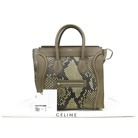 ������  ��Ʈ��