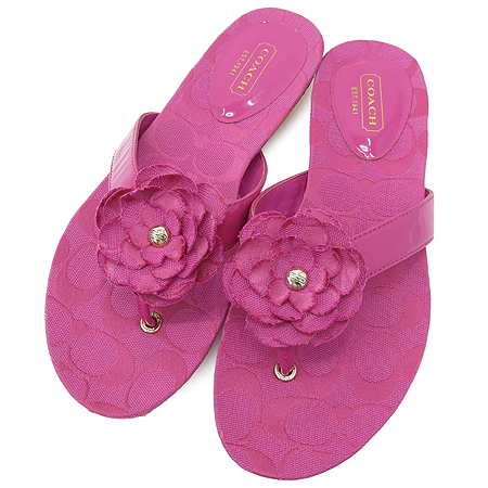 Coach(��ġ) �ö�� ��� ������ ������ �̹���5 - ���̺��� �߰���ǰ