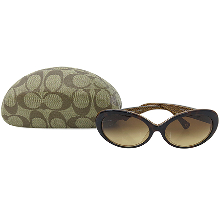 ��ġ  ���۶�