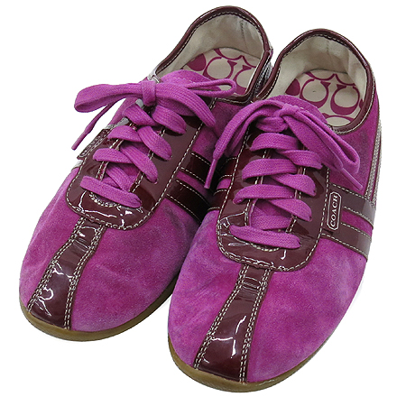 Coach(��ġ) �ñ׳�ó ���� �����̵� �ֳ��� ȥ�� ������ ����Ŀ�� �̹���5 - ���̺��� �߰���ǰ