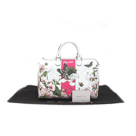 ����  ��Ʈ��