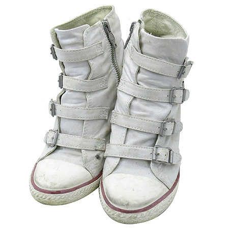 Ash(�ƽ�) THELMA BIS(���� ����) ĵ���� ������ ����Ŀ�� �̹���5 - ���̺��� �߰���ǰ