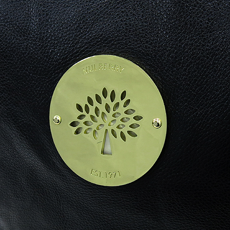 MULBERRY(�ֹ���) HH7440 571 �������� ������� �ΰ� DARIA (�ٸ���) ȣ�� ����� �̹���4 - ���̺��� �߰���ǰ