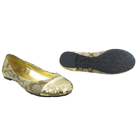 Coach(��ġ) �ñ׳��� �ڰ��� ��� ���ر� ��� ������ �÷����� �̹���2 - ���̺��� �߰���ǰ