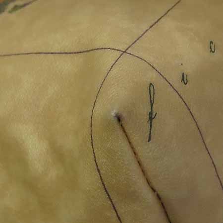 ALVIERO MARTINI(�˺񿡷� ����Ƽ��) CN122 900 �ΰ� PVC ���� ����� [�ϻ����] �̹���5 - ���̺��� �߰���ǰ