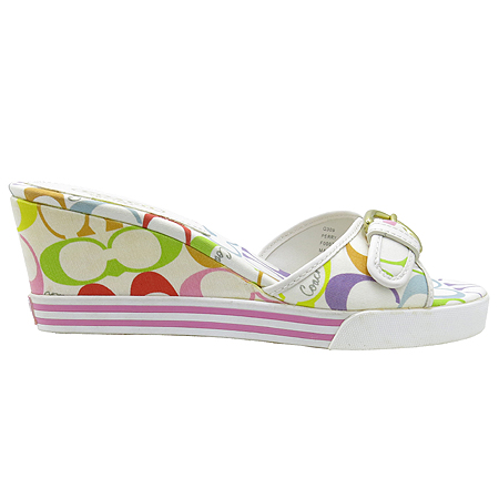 Coach(��ġ) �ñ׳�ó �ΰ� ������ ������ ���� �̹���4 - ���̺��� �߰���ǰ