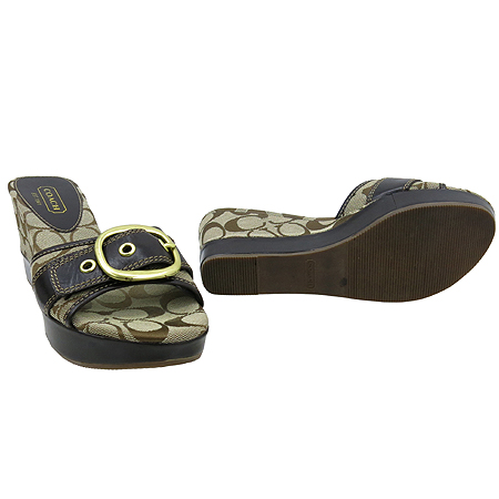 Coach(��ġ) �ñ׳�ó �ΰ� ������ ������ ���� �̹���2 - ���̺��� �߰���ǰ