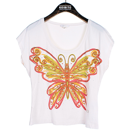 �������  Ƽ