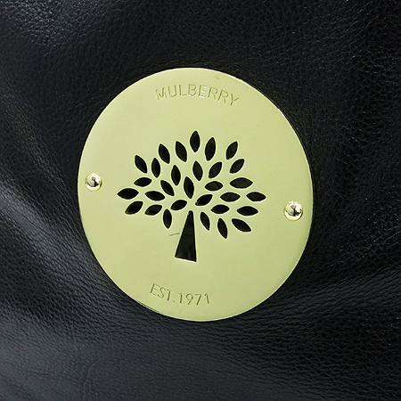 MULBERRY(�ֹ���) HH7440 571 �������� ������� �ΰ� DARIA (�ٸ���) ȣ�� ����� �̹���4 - ���̺��� �߰���ǰ