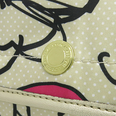 Coach(��ġ) �ö�� ������ �к긯 ũ�ν� �� �̹���3 - ���̺��� �߰���ǰ