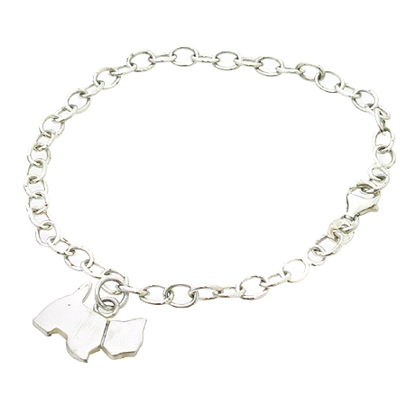 �ư�Ÿ  ����