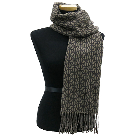 ���̱����  ���÷�