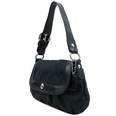 Coach(��ġ) F13739 �ñ׳��� ȣ�� ����� �̹���2 - ���̺��� �߰���ǰ