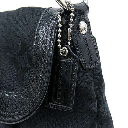 Coach(��ġ) F13739 �ñ׳��� ȣ�� ����� �̹���3 - ���̺��� �߰���ǰ