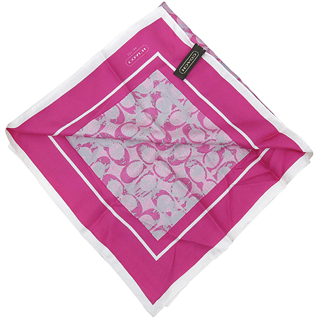 Coach(��ġ) ��ũ 100% �ñ״��� �ΰ� ��ī�� �̹���3 - ���̺��� �߰���ǰ