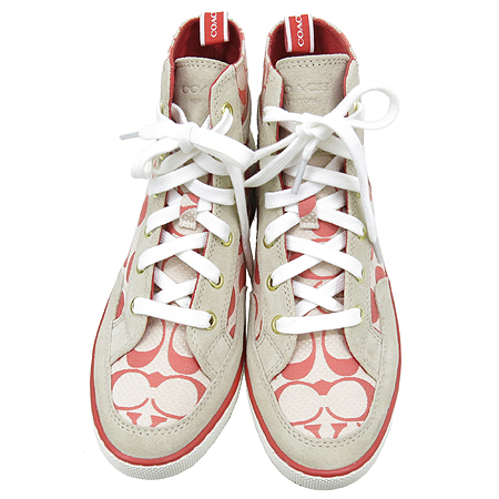 Coach(��ġ) �ñ״�ó �ΰ� �����̵� ���� ���� ����ž ����Ŀ�� �̹���5 - ���̺��� �߰���ǰ