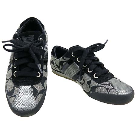 ��ġ  ����Ŀ��