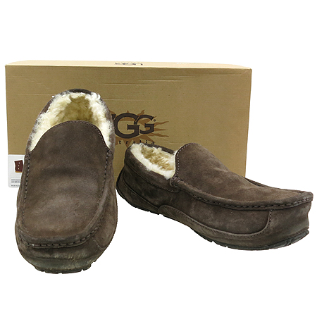 UGG() ASCOT ̵  ī 