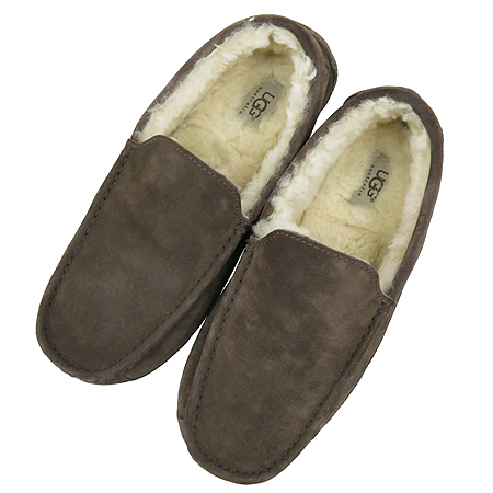 UGG() ASCOT ̵  ī  ̹6 - ̺ ߰ǰ