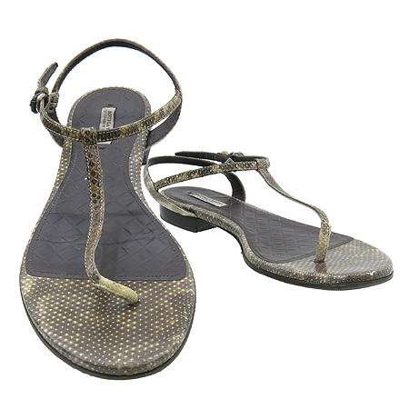 ���װ�����Ÿ  ����