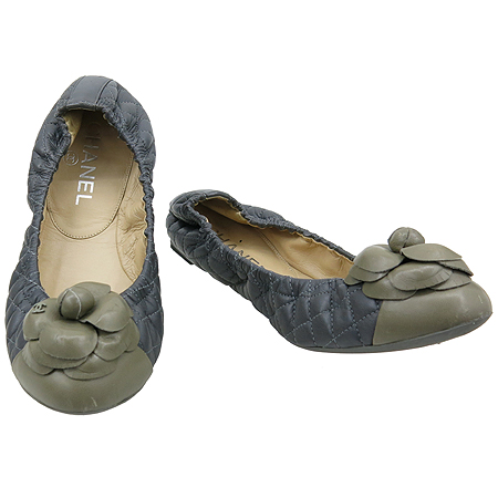 ����  ��Ÿ